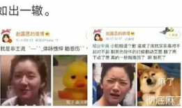 吃瓜吐槽娱乐圈文,吃瓜群众吐槽大会